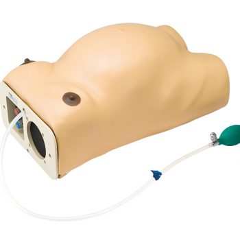 anatomicalmodels-medstore.ie