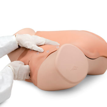 anatomicalmodels-medstore.ie