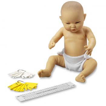 anatomicalmodels-medstore.ie