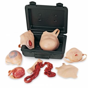 anatomicalmodels-medstore.ie