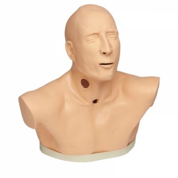 anatomicalmodels-medstore.ie