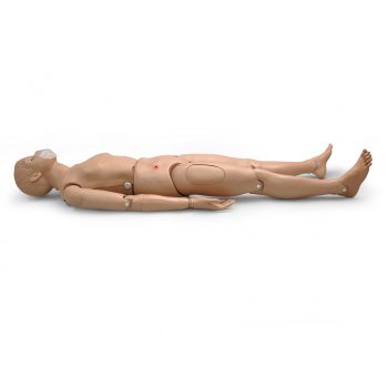 anatomicaltrainingmodels-medstore.ie