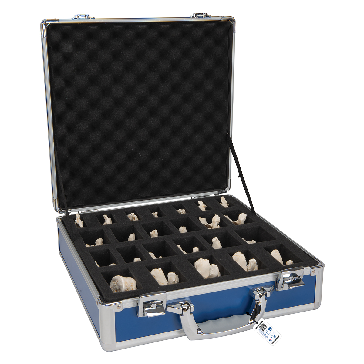 cervicalmdels-medstore.ie