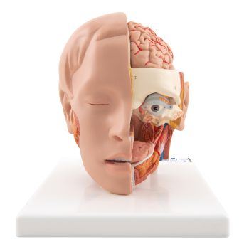 humanhead-medstore.ie