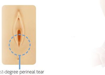 anatomicalmodels-medstore.ie