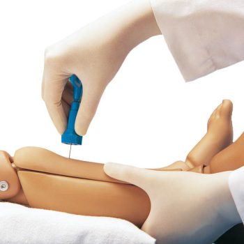 anatomicalmodels-medstore.ie