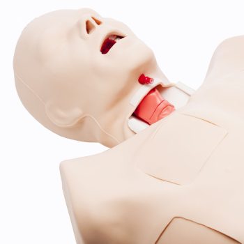 traumaanatomicalmodels-medstore.ie