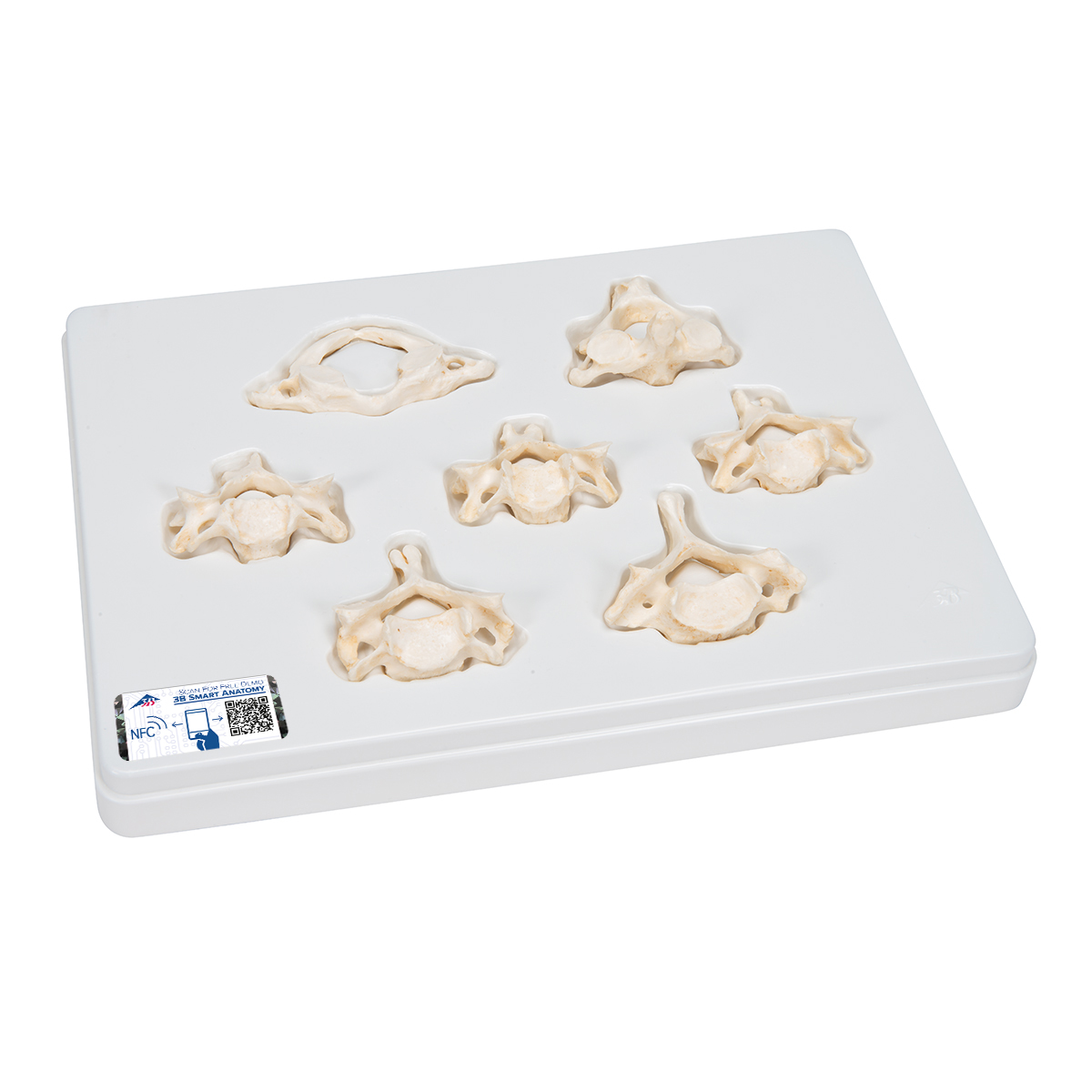 cervicaspine-medstore.ie