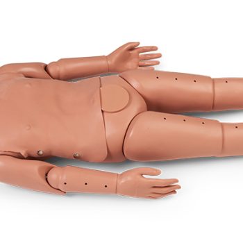 medicalanatomicalmodels-medstore.ie