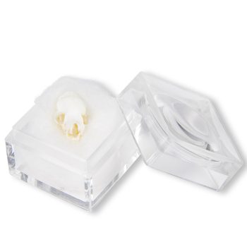 batskullsireland-medstore.ie