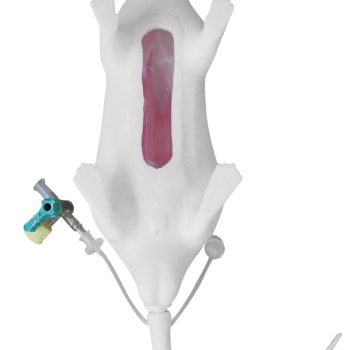 micemodels-medstore.ie