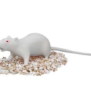 micemodels-medstore.ie