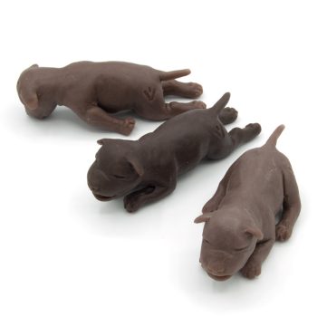 puppymodels-medstore.ie