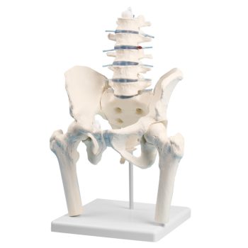 mediccalsuppliesireland-medstore.ie