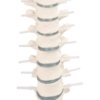 medicalsupplies-medstore.ie