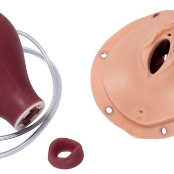 postpartumhemorrhagemodel-medstore.ie