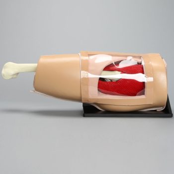 hipmodels-medstore.ie