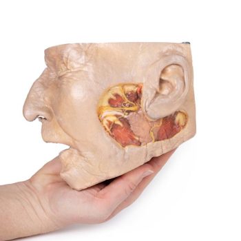 medicalsupplies-medstore.ie