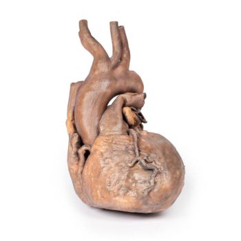 medicalsupplies-medstore.ie