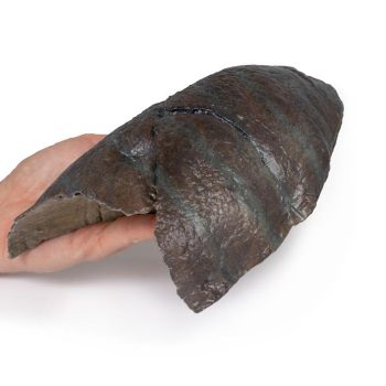 humanlungs-medstore.ie