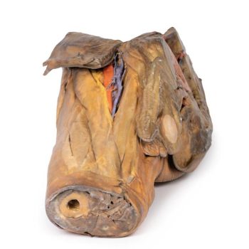 medicalsupplies-medstore.ie