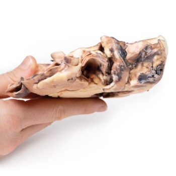 anatomicalmodels-medstore.ie