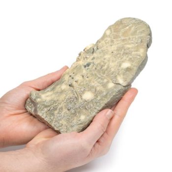 medicalsupplies-medstore.ie