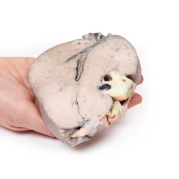 medicalsupplies-medstore.ie