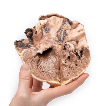 medicalsupplies-medstore.ie