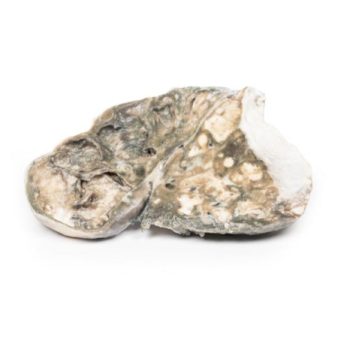 medicalsupplies-medstore.ie