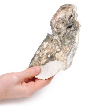 lungmodels-medstore.ie