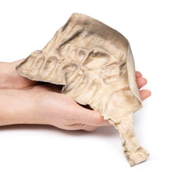 anatomicalmodels-medstore.ie