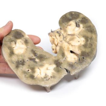 medicalsupplies-medstore.ie