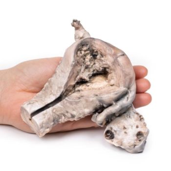 medicalsupplies-medstore.ie