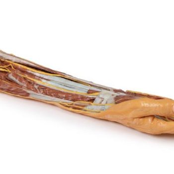 medicalsupplies-medstore.ie