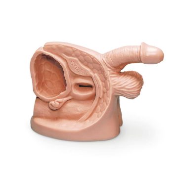 mediccalsupplies-medstore.ie