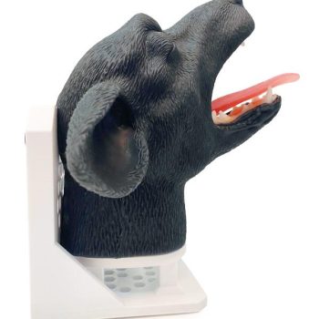 canineanatomicalmodels-medstore.ie