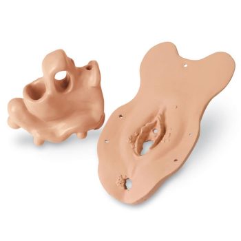 sexualtransmitteddiseases-medstore.ie