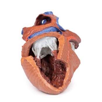 medicalsupplies-medstore.ie