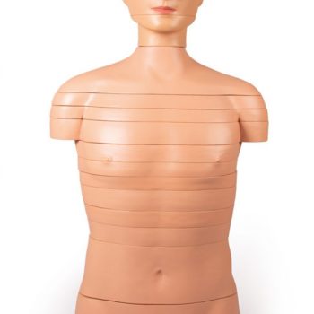 anatomicalmodels-medstore.ie