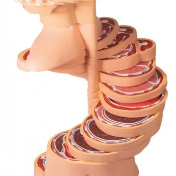 medicaslupplies-medstore.ie