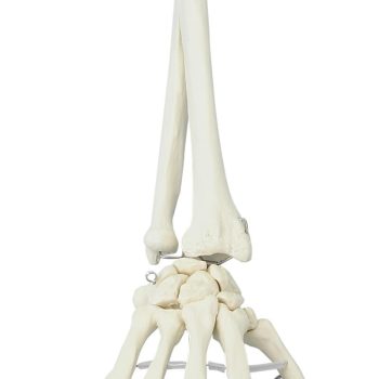 medicalsupplies-medstore.ie