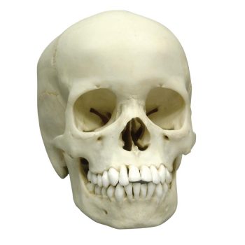 childskulls-medstore.ie