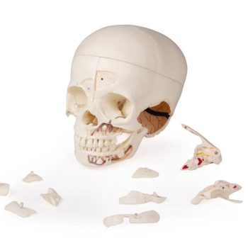 medicalsupplies-medstore.ie