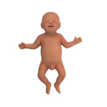 nenatrainingdol-medstore.ie