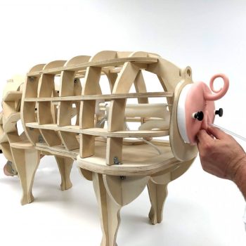 piginsemination-medstore.ie