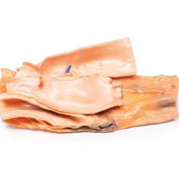 medicalsupplies-medstore.ie