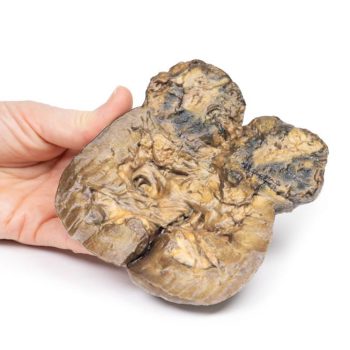 medicalsupplies-medstore.ie