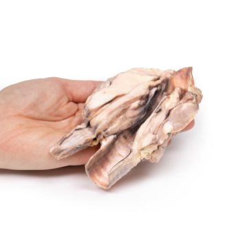 throatmodels-medstore.ie