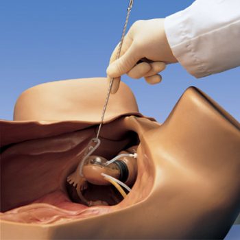 gynecologicalsimulator-medstore.ie